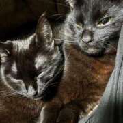 ヒメ日記 2026/04/11 12:32 投稿 まお 京都祇園・南インターちゃんこ