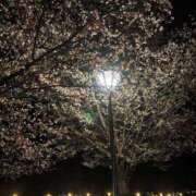 ヒメ日記 2026/04/12 23:01 投稿 まお 京都祇園・南インターちゃんこ