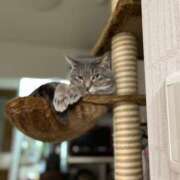 ヒメ日記 2026/04/20 16:17 投稿 まお 京都祇園・南インターちゃんこ