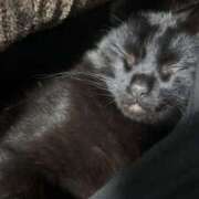 ヒメ日記 2026/04/23 21:25 投稿 まお 京都祇園・南インターちゃんこ