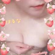 ヒメ日記 2026/01/28 09:07 投稿 はるな 丸妻 新横浜店