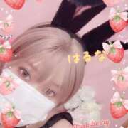 ヒメ日記 2026/01/29 15:26 投稿 はるな 丸妻 新横浜店