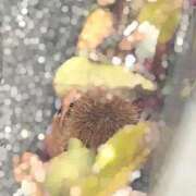 ヒメ日記 2026/02/07 13:38 投稿 はるな 丸妻 新横浜店