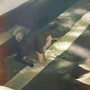 ヒメ日記 2026/04/08 13:40 投稿 はるな 丸妻 新横浜店