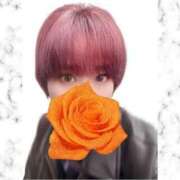 ヒメ日記 2026/04/23 16:16 投稿 はるな 丸妻 新横浜店