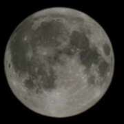 ヒメ日記 2026/02/04 22:42 投稿 りおな 東京人妻セレブリティ（ユメオト）