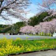 ヒメ日記 2026/03/13 14:52 投稿 りおな 東京人妻セレブリティ（ユメオト）