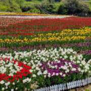 ヒメ日記 2026/03/24 14:38 投稿 りおな 東京人妻セレブリティ（ユメオト）