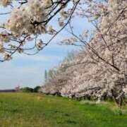 ヒメ日記 2026/03/30 07:00 投稿 りおな 東京人妻セレブリティ（ユメオト）