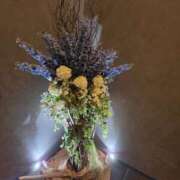 ヒメ日記 2026/04/12 13:58 投稿 りおな 東京人妻セレブリティ（ユメオト）