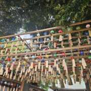 ヒメ日記 2026/06/27 14:37 投稿 りおな 東京人妻セレブリティ（ユメオト）
