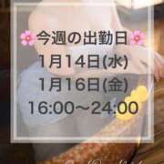 ヒメ日記 2026/01/13 12:31 投稿 琴葉(ことは) グランドオペラ横浜