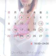 ヒメ日記 2026/02/08 21:01 投稿 琴葉(ことは) グランドオペラ横浜