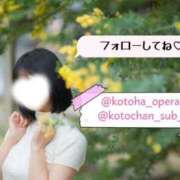 ヒメ日記 2026/05/17 12:41 投稿 琴葉(ことは) グランドオペラ横浜