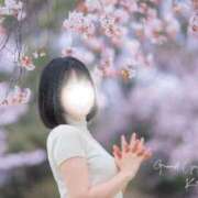 ヒメ日記 2026/05/22 07:21 投稿 琴葉(ことは) グランドオペラ横浜