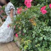ヒメ日記 2026/07/10 12:24 投稿 琴葉(ことは) グランドオペラ横浜