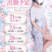 琴葉(ことは) 今週と来週の出勤予定🌸 グランドオペラ横浜