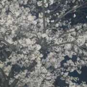 ヒメ日記 2026/04/08 19:05 投稿 すず エロティックマッサージ 錦糸町