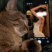 ヒメ日記 2026/03/29 08:32 投稿 桔梗 EXE（エグゼ）