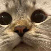 ヒメ日記 2026/04/11 11:00 投稿 時田かおる エルドール