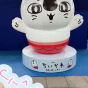 ヒメ日記 2026/09/19 14:45 投稿 愛宮【あいみや】 丸妻 西船橋店