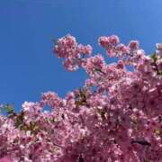 ひなの 特大の感謝をお兄様に💌💕 Sakura Spa