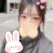 ヒメ日記 2026/02/03 17:26 投稿 つき The White