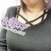 ヒメ日記 2026/02/08 14:15 投稿 なずな 横浜人妻花壇本店