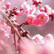 ヒメ日記 2026/02/05 09:47 投稿 早乙女 熟女の風俗最終章 新横浜店