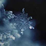 ヒメ日記 2026/02/07 10:29 投稿 早乙女 熟女の風俗最終章 新横浜店