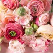 ヒメ日記 2026/03/08 10:46 投稿 早乙女 熟女の風俗最終章 新横浜店