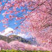 ヒメ日記 2026/03/18 11:12 投稿 早乙女 熟女の風俗最終章 新横浜店