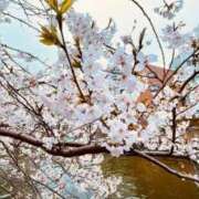 ヒメ日記 2026/03/20 10:12 投稿 早乙女 熟女の風俗最終章 新横浜店