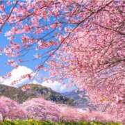 ヒメ日記 2026/03/27 11:20 投稿 早乙女 熟女の風俗最終章 新横浜店