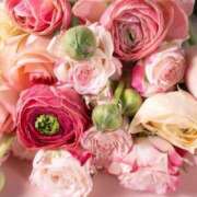 ヒメ日記 2026/04/16 10:57 投稿 早乙女 熟女の風俗最終章 新横浜店