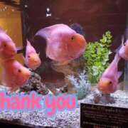 ヒメ日記 2026/03/09 22:06 投稿 えりか 丸妻 厚木店