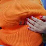 ヒメ日記 2026/02/11 09:49 投稿 まお 石川小松ちゃんこ