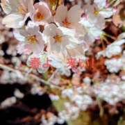 ヒメ日記 2026/02/12 15:59 投稿 まお 石川小松ちゃんこ