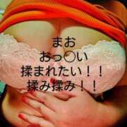 ヒメ日記 2026/02/14 08:19 投稿 まお 石川小松ちゃんこ