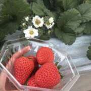 ヒメ日記 2026/03/11 14:03 投稿 みい SOPHIA（ソフィア）