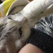 ヒメ日記 2026/01/31 07:52 投稿 原　ちあき 昼下がりの情事