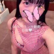 ヒメ日記 2026/04/14 11:59 投稿 白姫（しき） エスペランサ新館