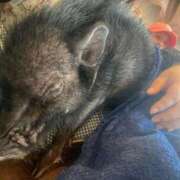 あまい おやすみなさい🎶 君とふわふわプリンセスin立川