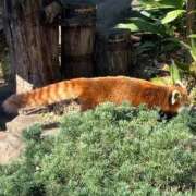 ヒメ日記 2026/02/23 10:42 投稿 あまい 君とふわふわプリンセスin立川