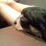 ヒメ日記 2026/02/18 16:14 投稿 【G】ゆうか ウルトラセレブリティ