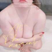 ヒメ日記 2026/03/05 15:09 投稿 あんこ 大阪和泉ちゃんこ