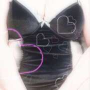 ヒメ日記 2026/03/07 15:39 投稿 あんこ 大阪和泉ちゃんこ