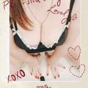 ヒメ日記 2026/03/18 18:39 投稿 あんこ 大阪和泉ちゃんこ