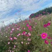ヒメ日記 2026/03/22 21:08 投稿 早川しおり ウルトラロイヤル