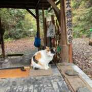 ヒメ日記 2026/03/24 15:28 投稿 早川しおり ウルトラロイヤル